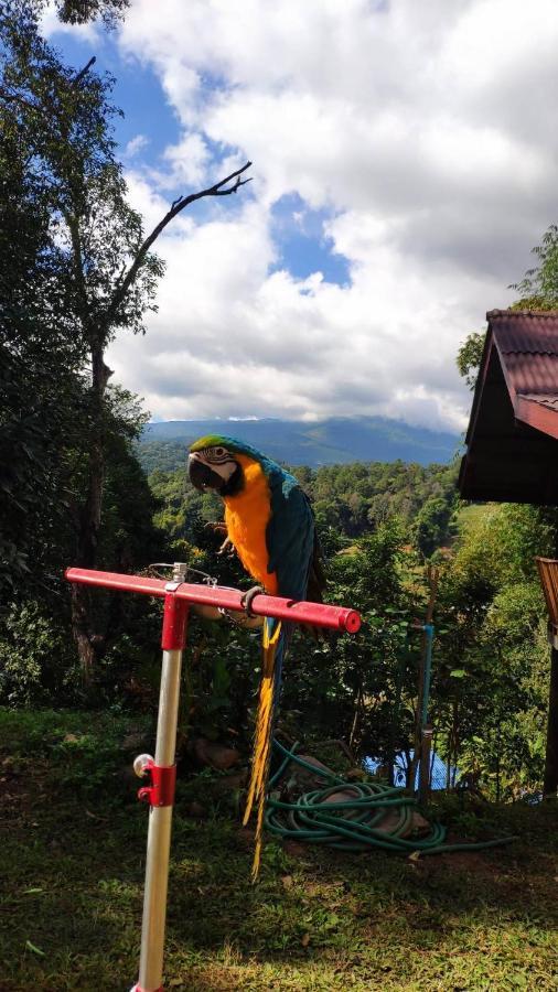 Peamoo Homestay Chom Thong Eksteriør billede